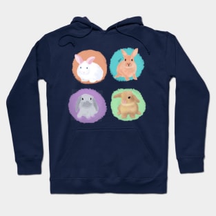 The cutest baby bunnies Hoodie